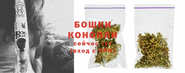 PSILOCYBIN Новодвинск