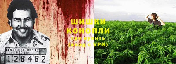 PSILOCYBIN Новодвинск