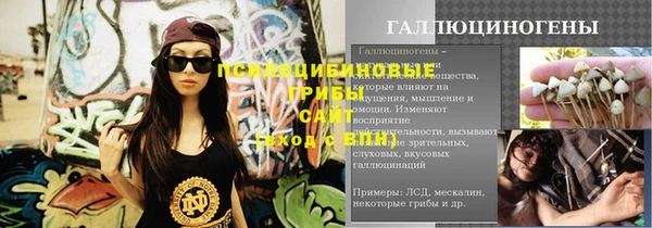 PSILOCYBIN Новодвинск