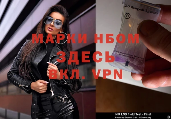 PSILOCYBIN Новодвинск