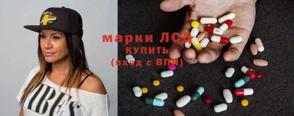 PSILOCYBIN Новодвинск