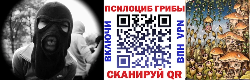 Псилоцибиновые грибы Psilocybe  Сортавала 