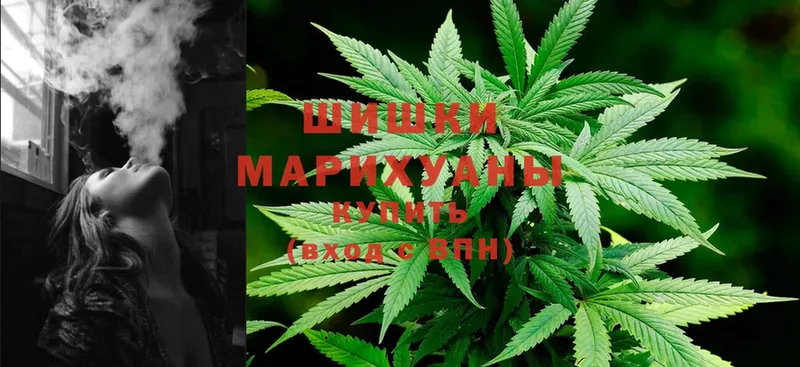 Марихуана THC 21%  Сортавала 